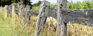 Wooden-Fence-Post-From-Rotting