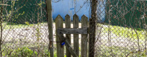 Garden-Fence