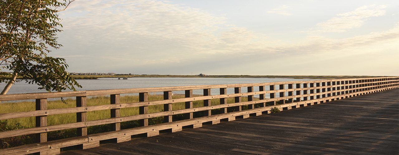 fencing solutions in bonney lake